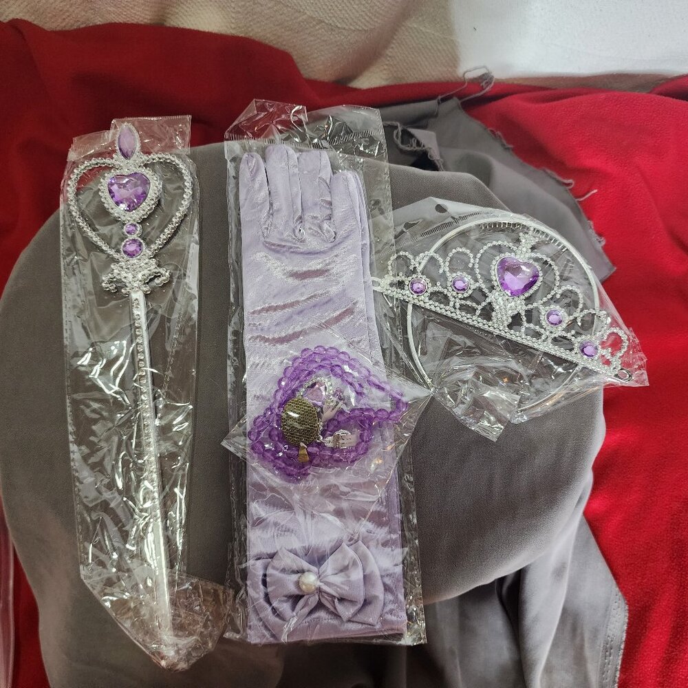 Tanmet Intl. Princess Dress Up Collection Purple Princess Accessories 5pc Kit